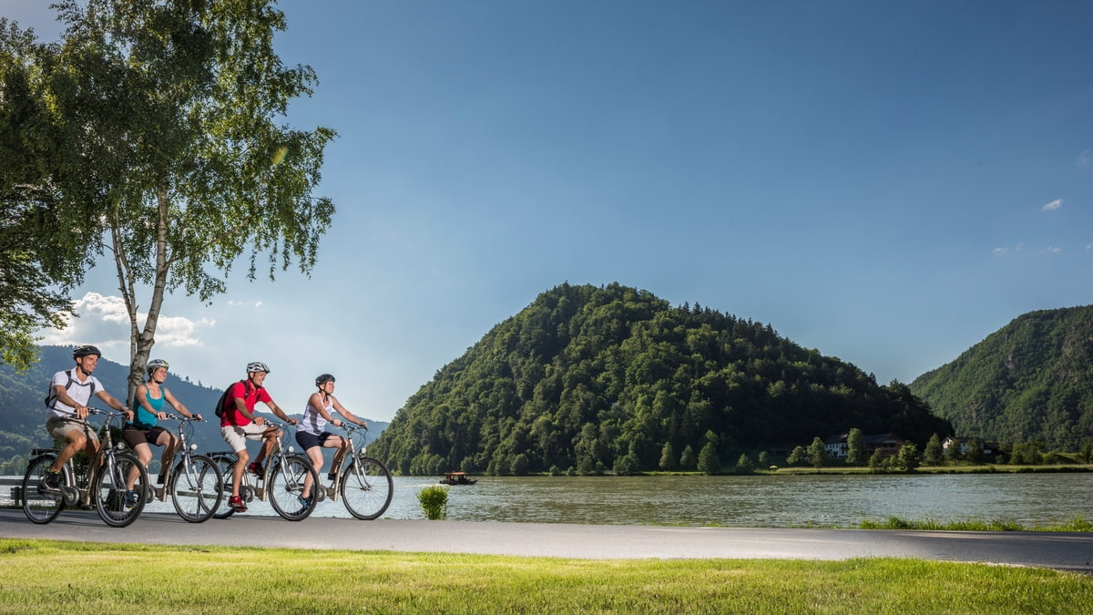 Donauradweg an der Schlögener Schlinge – Radfahren mit spektakulärem Flussblick Radfahrer auf dem Donauradweg mit Blick auf die Schlögener Donauschlinge