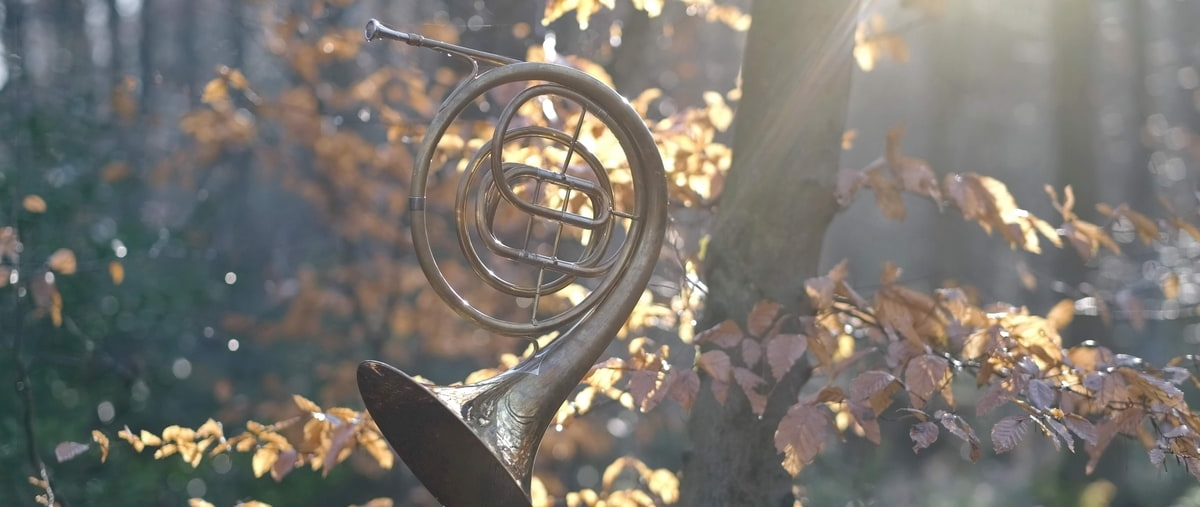 Musikwandertag an der Donauschlinge Blasinstrument Horn im herbstlichen Wald