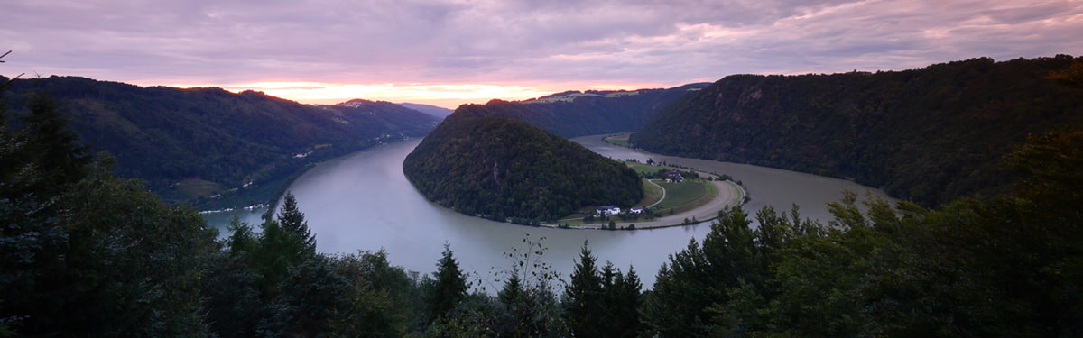 Abendstimmung an der Donauschlinge